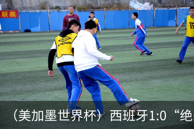 （美加墨世界杯）西班牙1:0“绝杀”葡萄牙 C罗结束世界杯征程